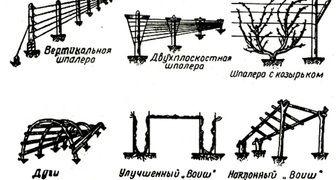 8.jpg?lang=ru